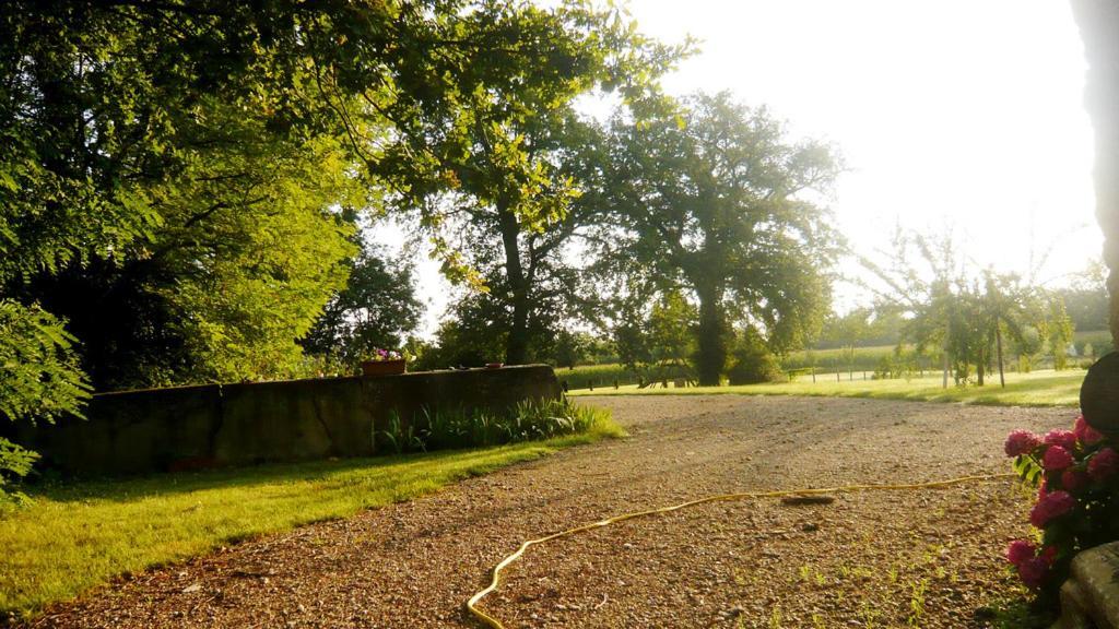 Bed&Breakfast - Maison de Marie Messimy-sur-Saone Exterior foto