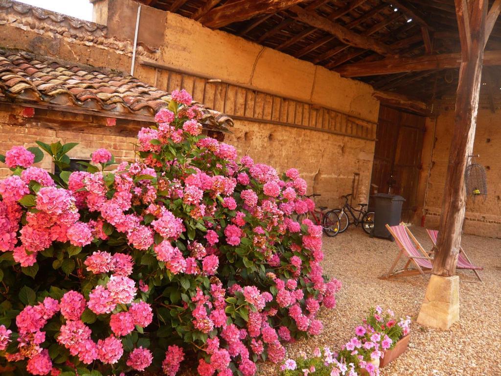 Bed&Breakfast - Maison de Marie Messimy-sur-Saone Exterior foto